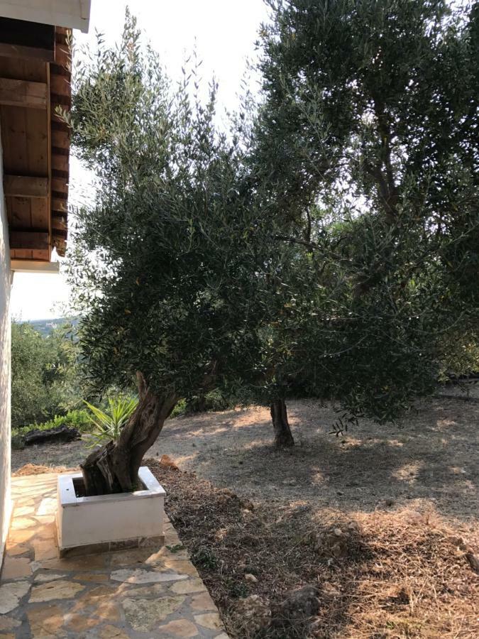 Ferienhaus Olive Garden Kyparissia Exteriör bild