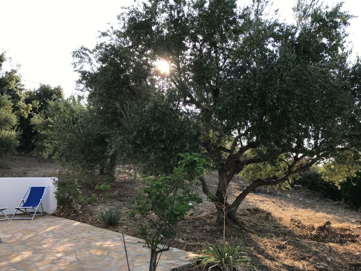 Ferienhaus Olive Garden Kyparissia Exteriör bild